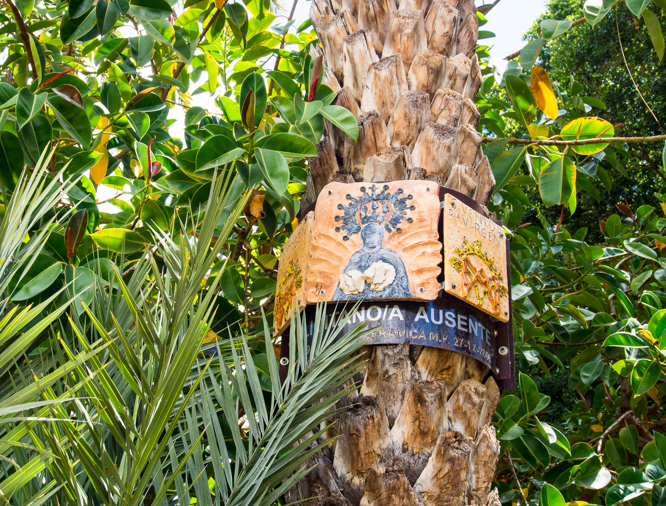 Elche-Palm-Grove-1 El Palmeral de Elche - Patrimonio Mundial de la UNESCO