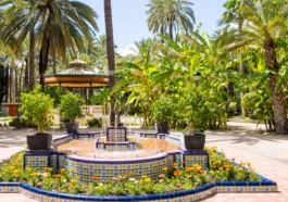 Пальмовая роща Эльче – объект Всемирного наследия ЮНЕСКО<span class="rmp-archive-results-widget "><i class=" rmp-icon rmp-icon--ratings rmp-icon--star rmp-icon--full-highlight"></i><i class=" rmp-icon rmp-icon--ratings rmp-icon--star rmp-icon--full-highlight"></i><i class=" rmp-icon rmp-icon--ratings rmp-icon--star rmp-icon--full-highlight"></i><i class=" rmp-icon rmp-icon--ratings rmp-icon--star rmp-icon--full-highlight"></i><i class=" rmp-icon rmp-icon--ratings rmp-icon--star rmp-icon--full-highlight"></i> <span>5 (137)</span></span>