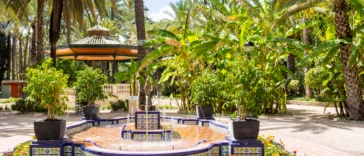 Elche-Palm-Grove-364x156 Popular