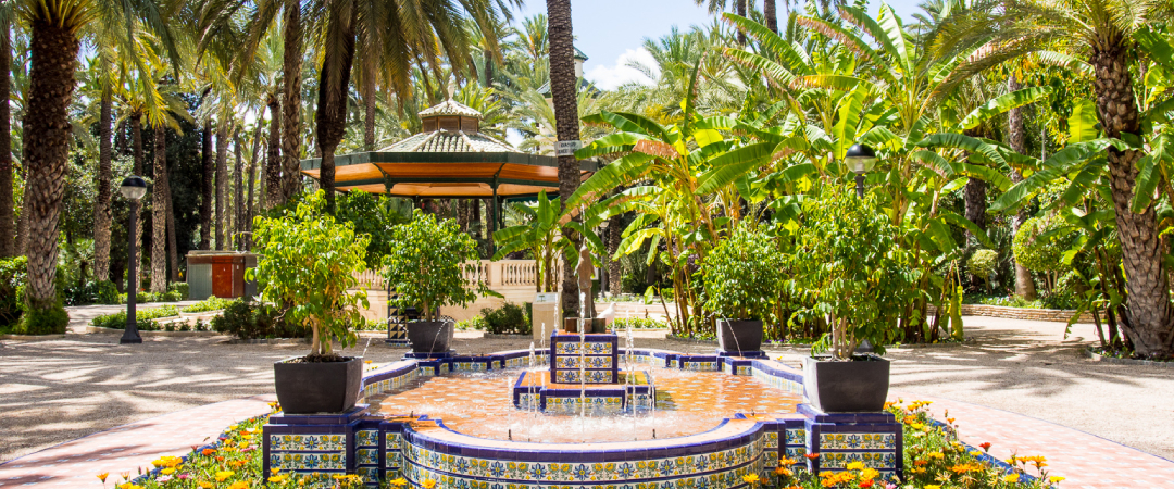 Elche Palm Grove – UNESCO World Heritage Site: A Verdant Oasis in Costa Blanca - Active recreation Costa Blanca Elche Entertainment Excursions  - Фото - Elche-Palm-Grove-UNESCO-World-Heritage-Site-Oasis-in-Costa-Blanca