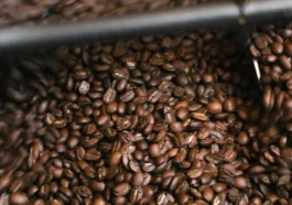 Лучшие локальные обжарщики кофе на Коста-Бланка<span class="rmp-archive-results-widget "><i class=" rmp-icon rmp-icon--ratings rmp-icon--star rmp-icon--full-highlight"></i><i class=" rmp-icon rmp-icon--ratings rmp-icon--star rmp-icon--full-highlight"></i><i class=" rmp-icon rmp-icon--ratings rmp-icon--star rmp-icon--full-highlight"></i><i class=" rmp-icon rmp-icon--ratings rmp-icon--star rmp-icon--full-highlight"></i><i class=" rmp-icon rmp-icon--ratings rmp-icon--star rmp-icon--full-highlight"></i> <span>5 (118)</span></span>