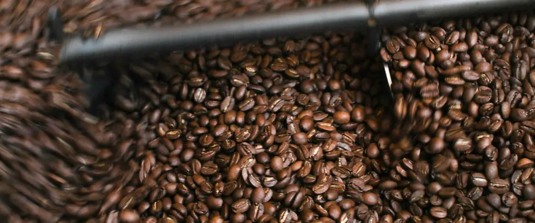 Best Local Coffee Roasters on the Costa Blanca<span class="rmp-archive-results-widget "><i class=" rmp-icon rmp-icon--ratings rmp-icon--star rmp-icon--full-highlight"></i><i class=" rmp-icon rmp-icon--ratings rmp-icon--star rmp-icon--full-highlight"></i><i class=" rmp-icon rmp-icon--ratings rmp-icon--star rmp-icon--full-highlight"></i><i class=" rmp-icon rmp-icon--ratings rmp-icon--star rmp-icon--full-highlight"></i><i class=" rmp-icon rmp-icon--ratings rmp-icon--star rmp-icon--full-highlight"></i> <span>5 (119)</span></span>