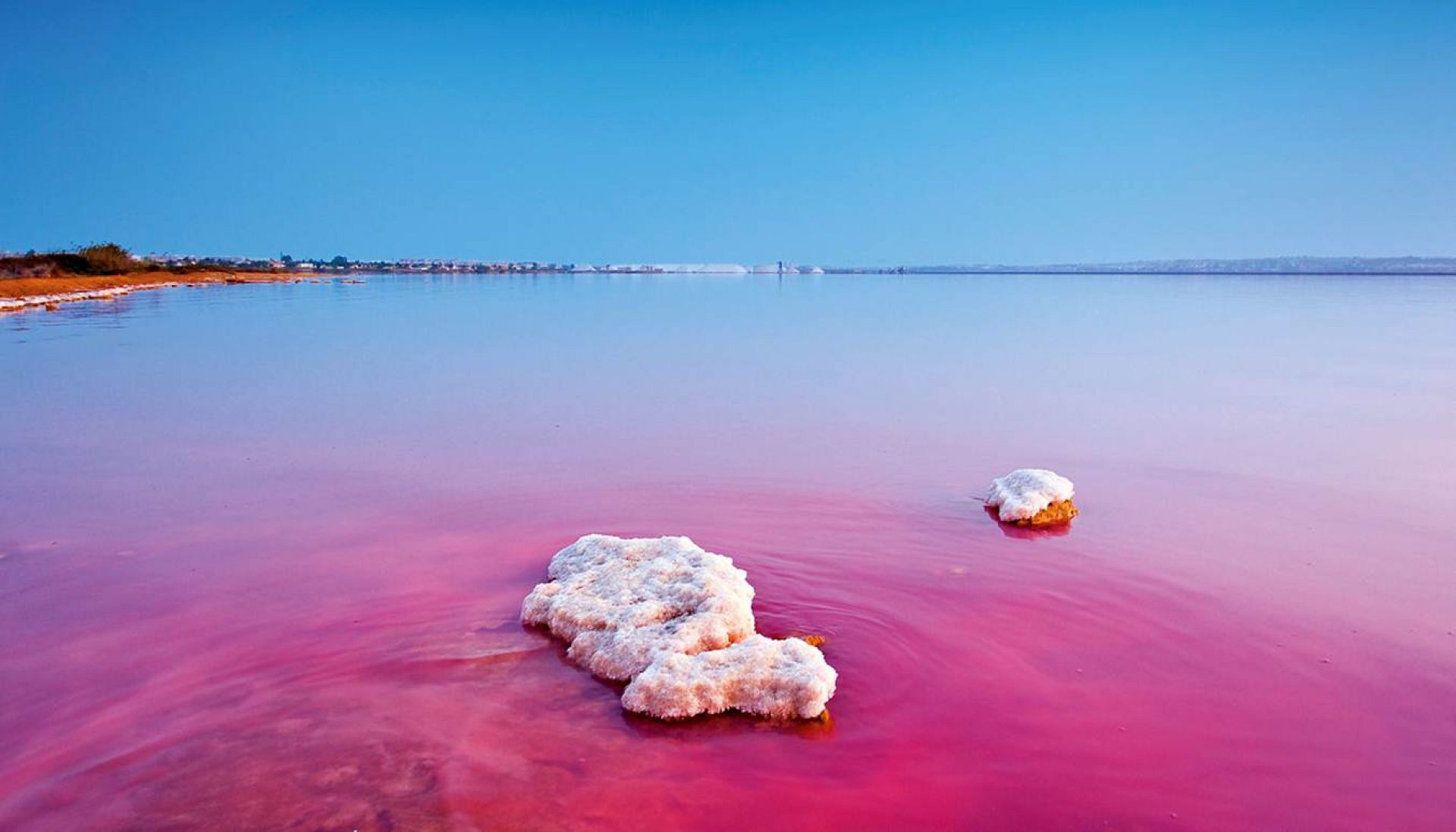 Laguna-Rosa-e1764870817242 Торревьеха: лучшие активности и пляжи для всей семьи