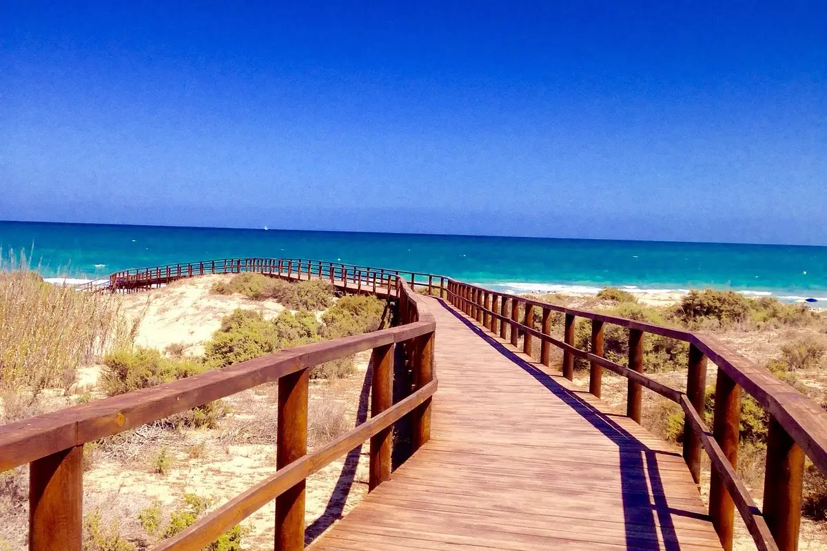 Песчаные пляжи Коста-Бланки: где лучший песок и вода - Аликанте Бенидорм Гвардамар-дель-Сегура Кальпе Пляжи Санта-Пола Торевьеха Туризм Хавеа Эль-Кампельо  - Costa Blanca Space Фото - Playa-de-Los-Arenales-del-Sol-Costa-Blanca-1
