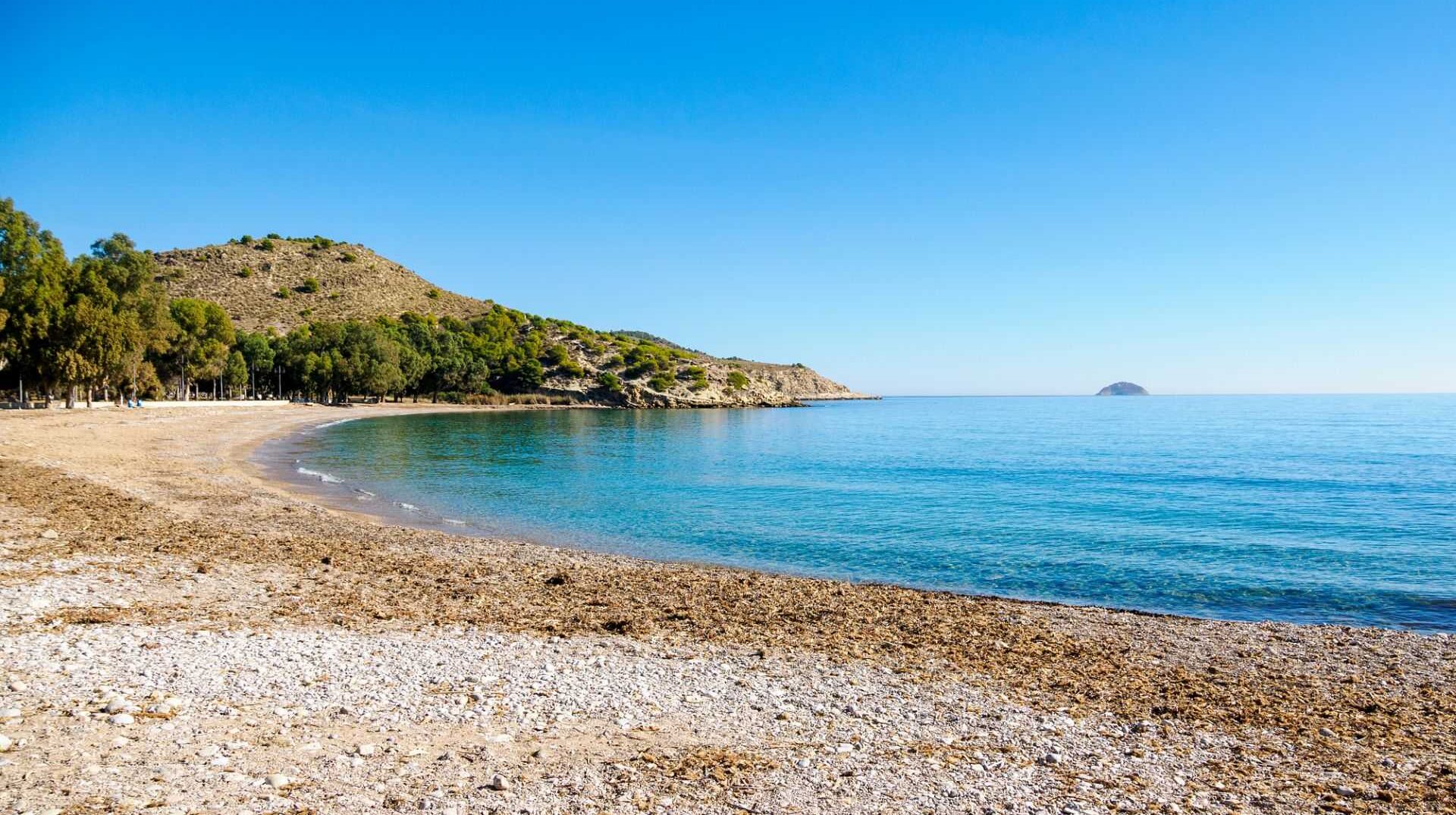 Playa_del_Torres-e1764876655811 Вильяхойоса: колоритный город с шоколадными традициями