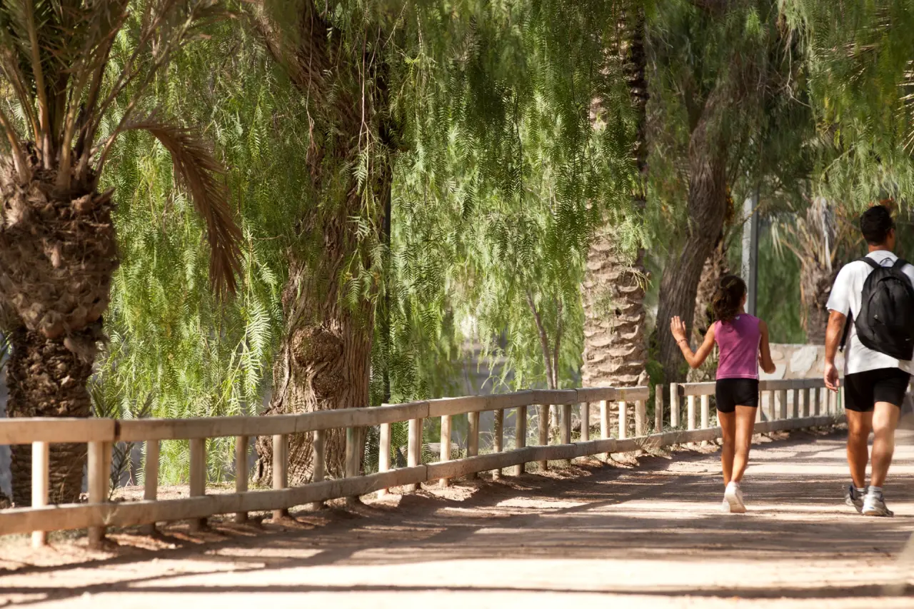 Эльче: пальмовые рощи и культурные маршруты - Маршруты Путеводители по городам Туризм Эльче  - Costa Blanca Space Фото - Ruta-del-Palmeral