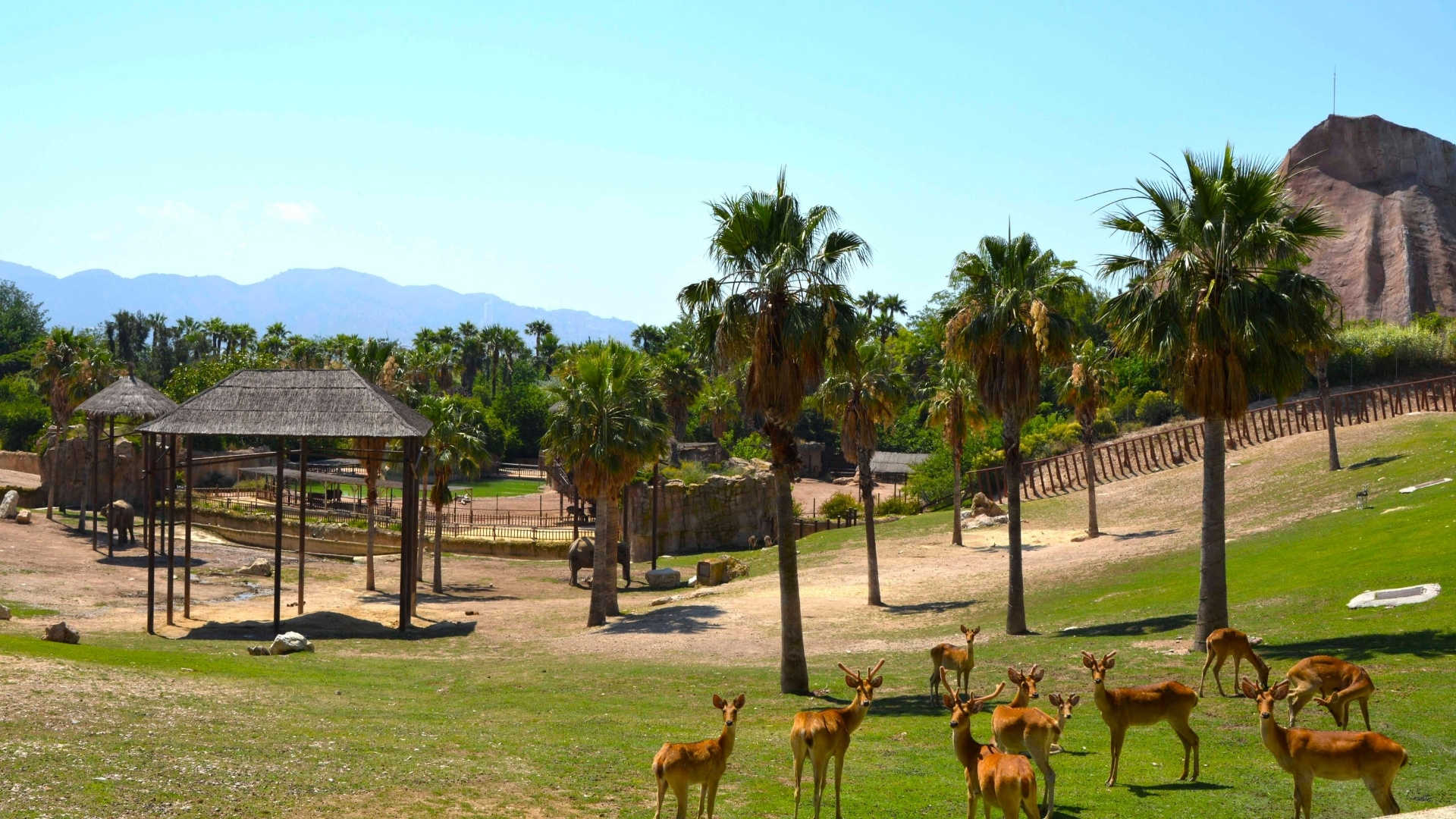 Terra-Natura Бенидорм: что посмотреть и куда сходить