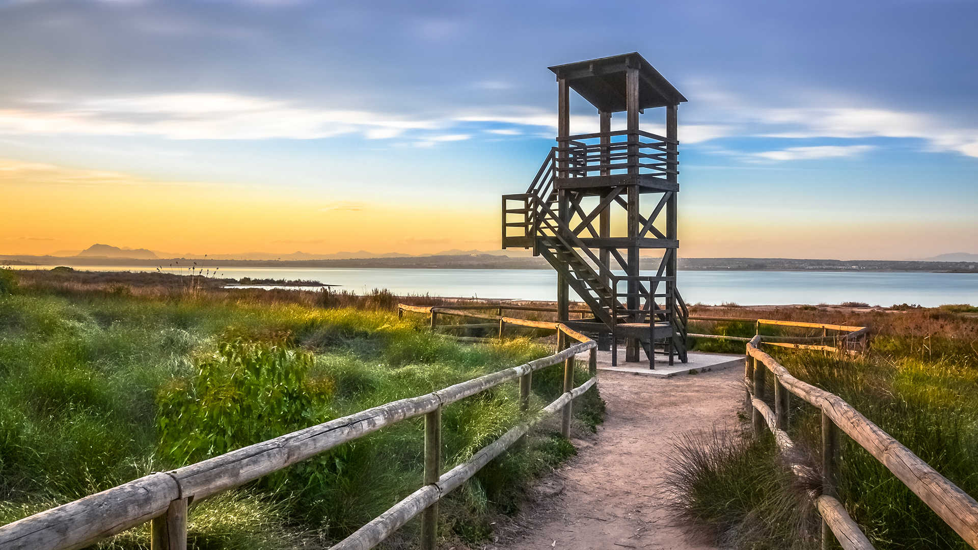 Torrevieja_parqueNatural Торревьеха: лучшие активности и пляжи для всей семьи