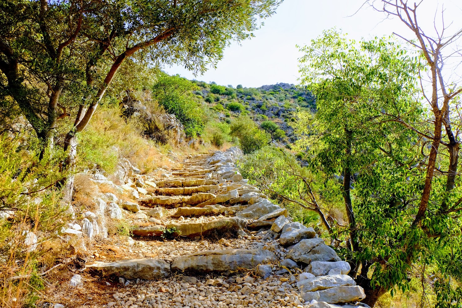 Пешие маршруты для начинающих и опытных туристов - Маршруты Туризм  - Costa Blanca Space Фото - barranc-infern-route