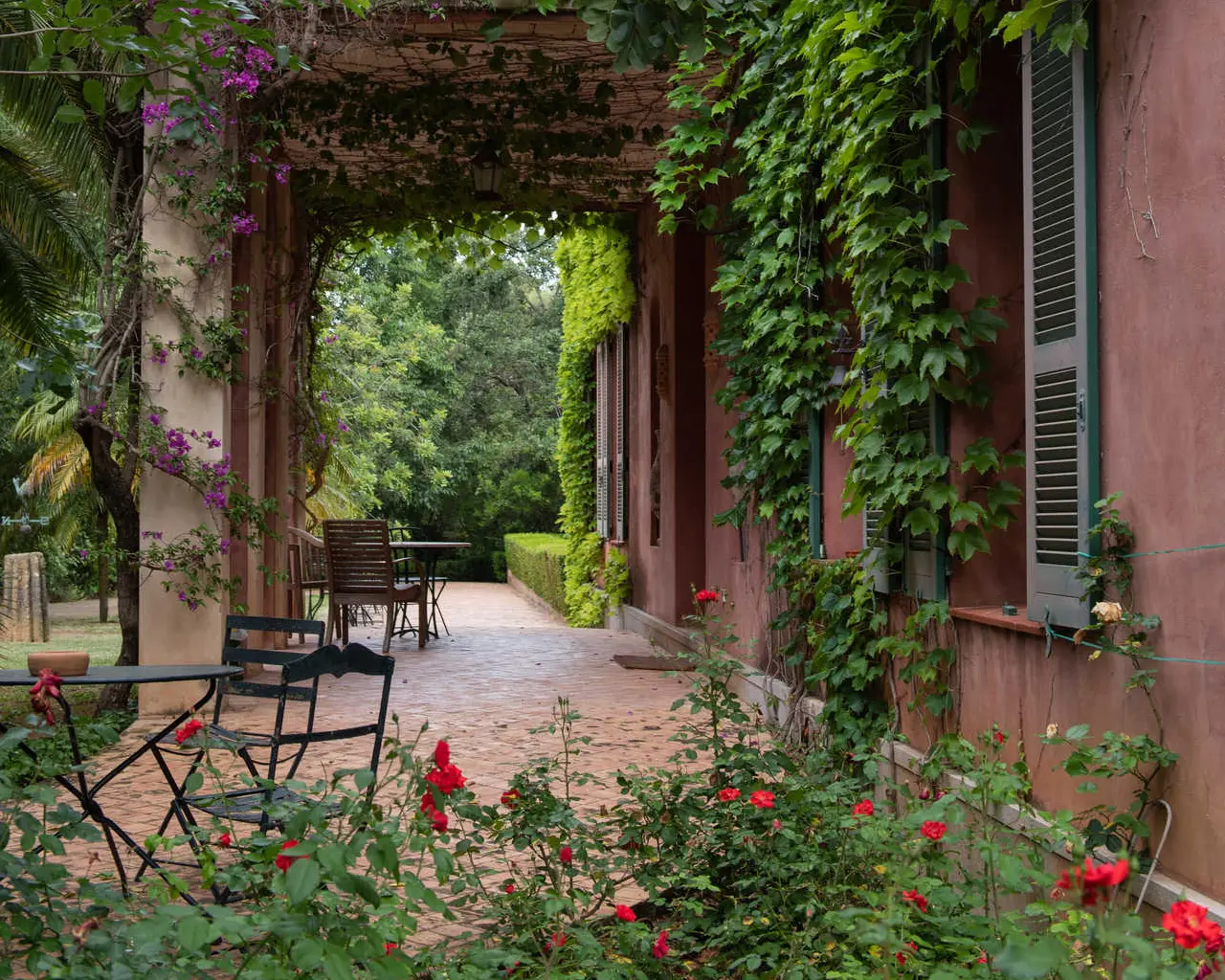 Jardín de l'Albarda - средиземноморский сад‑оазис в Аликанте - Аликанте Дения Коста-Бланка Лучшие места / подборки Туризм Хавеа  - Costa Blanca Space Фото - botanicheskoe-raznoobrazie