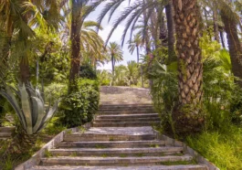Elche: Exploring the Historic Palm Groves and Cultural Routes<span class="rmp-archive-results-widget "><i class=" rmp-icon rmp-icon--ratings rmp-icon--star rmp-icon--full-highlight"></i><i class=" rmp-icon rmp-icon--ratings rmp-icon--star rmp-icon--full-highlight"></i><i class=" rmp-icon rmp-icon--ratings rmp-icon--star rmp-icon--full-highlight"></i><i class=" rmp-icon rmp-icon--ratings rmp-icon--star rmp-icon--full-highlight"></i><i class=" rmp-icon rmp-icon--ratings rmp-icon--star rmp-icon--full-highlight"></i> <span>5 (1)</span></span>