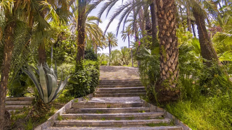 Elche: Exploring the Historic Palm Groves and Cultural Routes