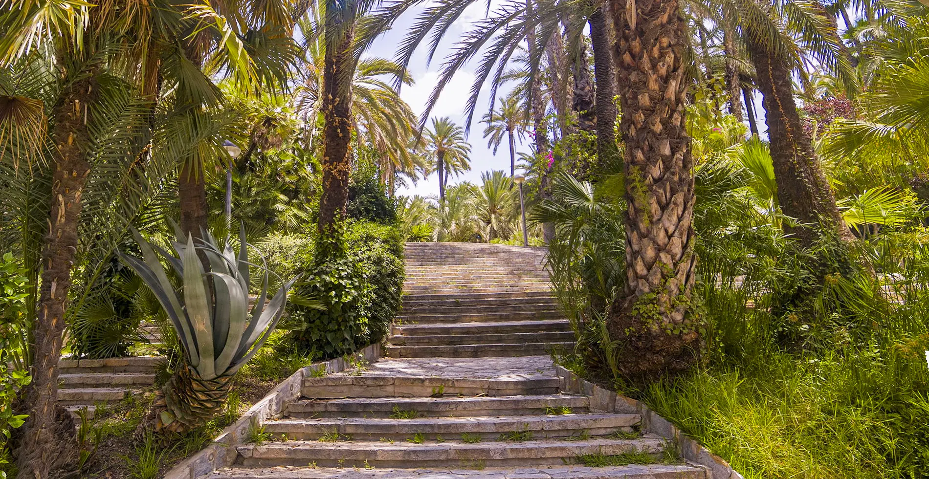 Эльче: пальмовые рощи и культурные маршруты