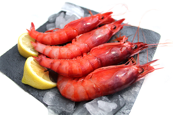 Дения: где попробовать лучшие рыбные блюда - Гайды по городам Гастрономия - gamba-roja-denia-classic Дения: где попробовать лучшие рыбные блюда - Гайды по городам Гастрономия - Costa Blanca Space Фото - gamba-roja-denia-classic