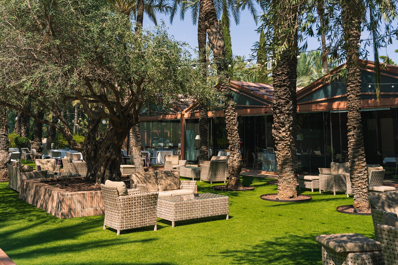 Эльче: гастрономические маршруты по городу - Гайды по городам Гастрономия Эльче  - Costa Blanca Space Фото - la-taula