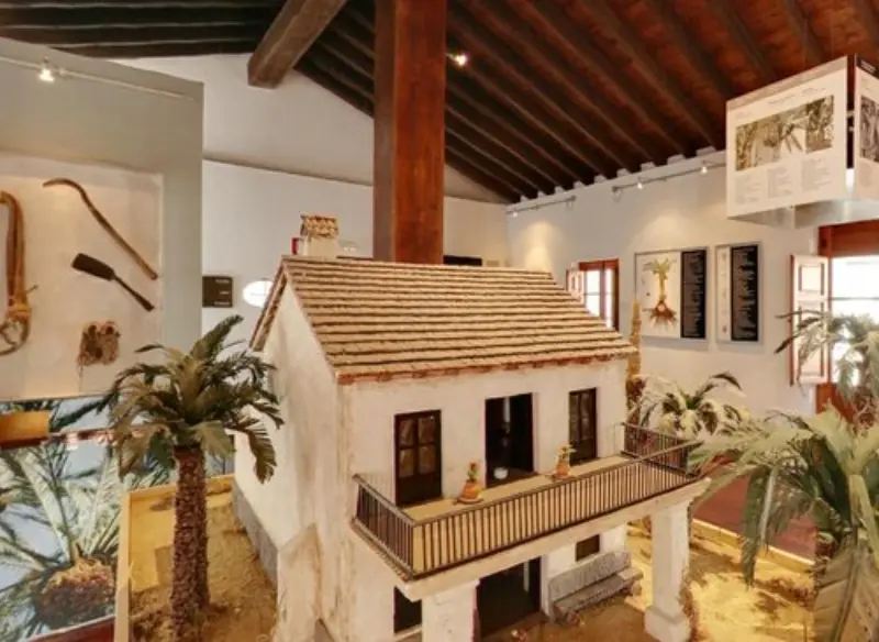 Эльче: пальмовые рощи и культурные маршруты - Маршруты Путеводители по городам Туризм Эльче  - Costa Blanca Space Фото - museo-del-palmeral-elche