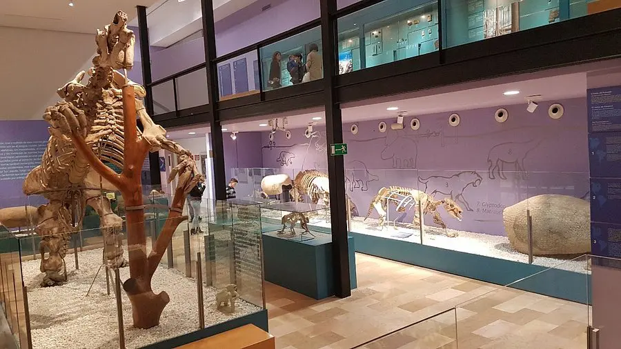 Ориуэла: исторический центр и современные достопримечательности - Ориуэла Путеводители по городам Туризм - museu-municipal-de-ciencies-naturals Ориуэла: исторический центр и современные достопримечательности - Ориуэла Путеводители по городам Туризм - Costa Blanca Space Фото - museu-municipal-de-ciencies-naturals