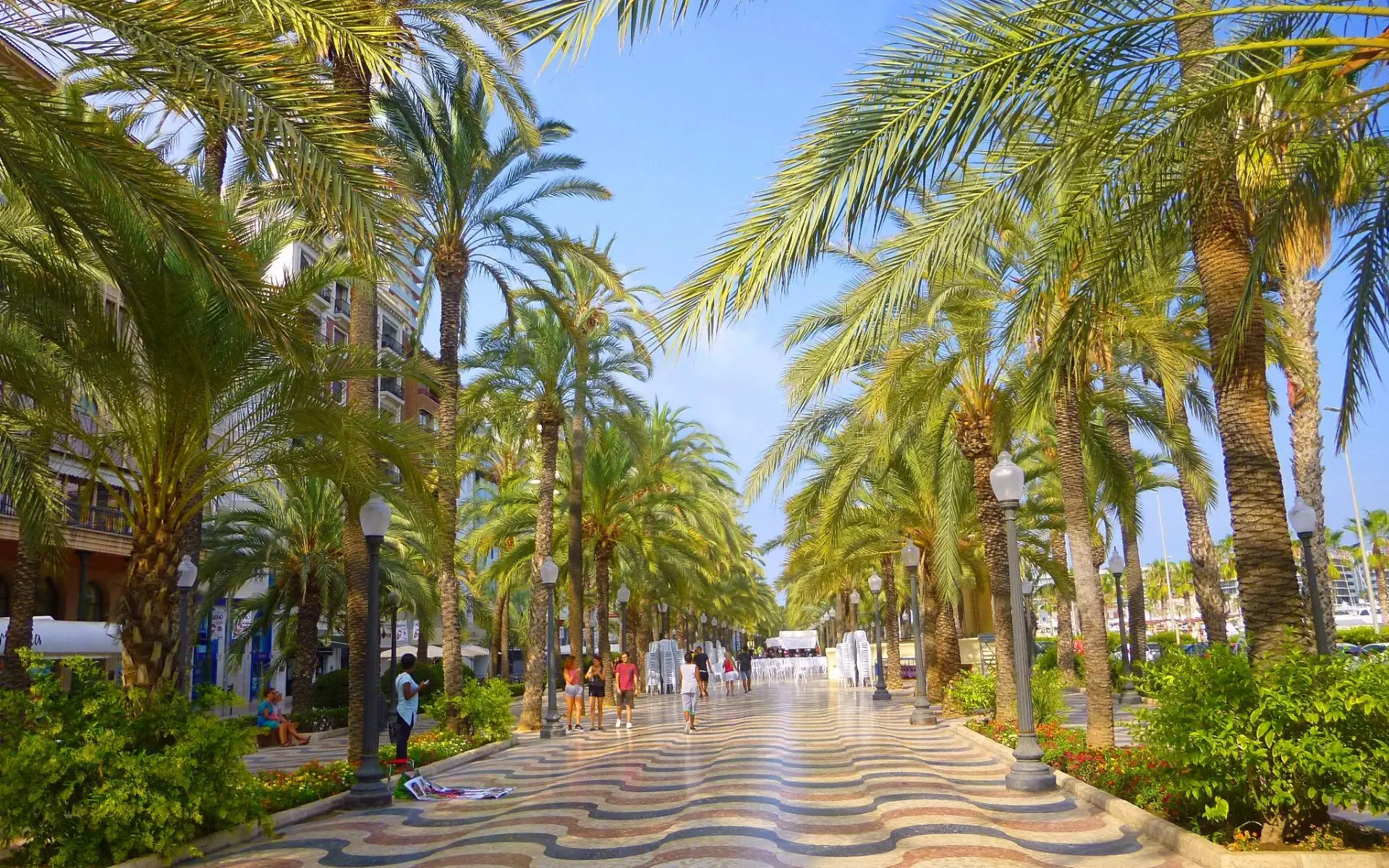 Обзор районов Аликанте: жильё, инфраструктура, безопасность и экология - Аликанте Недвижимость Переезд Районы и города  - Costa Blanca Space Фото - one-day-routes-alicante-how-to-see-all-the-main-sights
