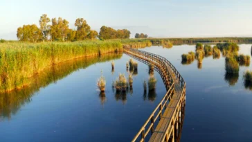 The latter may cause issues when importing events or with