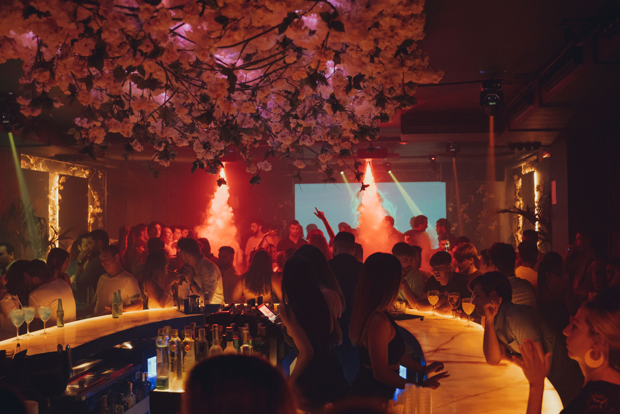 Топ-10 баров Аликанте для вечернего отдыха - Аликанте Гастрономия Лучшие места / подборки - pelican-club Топ-10 баров Аликанте для вечернего отдыха - Аликанте Гастрономия Лучшие места / подборки - Costa Blanca Space Фото - pelican-club