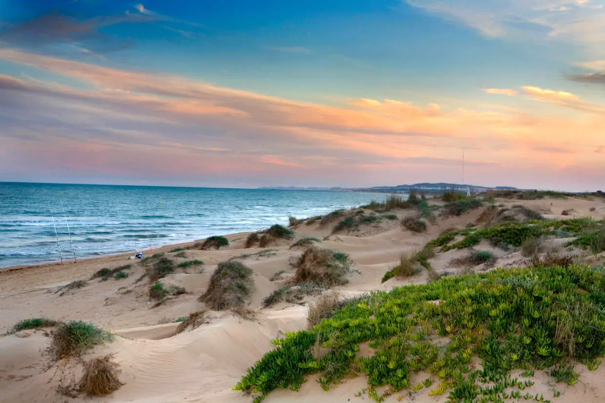 Песчаные пляжи Коста-Бланки: где лучший песок и вода - Аликанте Бенидорм Гвардамар-дель-Сегура Кальпе Пляжи Санта-Пола Торевьеха Туризм Хавеа Эль-Кампельо  - Costa Blanca Space Фото - playa-de-la-marina-elche