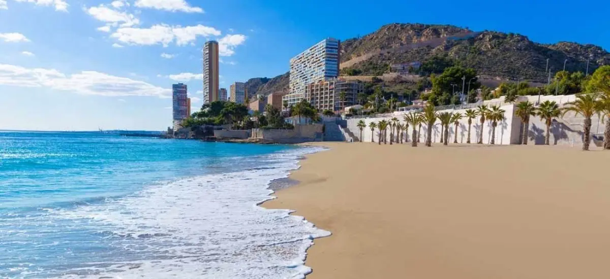 Обзор районов Аликанте: жильё, инфраструктура, безопасность и экология - Аликанте Недвижимость Переезд Районы и города  - Costa Blanca Space Фото - playa-la-albufereta