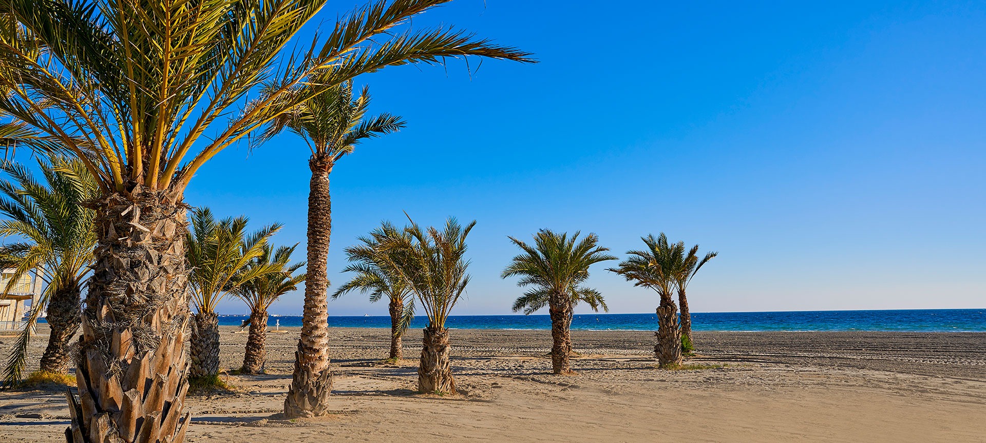 playa-tamarit-santa-pola-alicant Санта-Пола: пляжи, рынок и природные парки