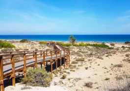 Пешие маршруты для начинающих и опытных туристов<span class="rmp-archive-results-widget "><i class=" rmp-icon rmp-icon--ratings rmp-icon--star rmp-icon--full-highlight"></i><i class=" rmp-icon rmp-icon--ratings rmp-icon--star rmp-icon--full-highlight"></i><i class=" rmp-icon rmp-icon--ratings rmp-icon--star rmp-icon--full-highlight"></i><i class=" rmp-icon rmp-icon--ratings rmp-icon--star rmp-icon--full-highlight"></i><i class=" rmp-icon rmp-icon--ratings rmp-icon--star rmp-icon--full-highlight"></i> <span>5 (1)</span></span>