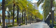 Alicante 2026: City Safety for Tourists and Residents – Crime Rate, High-Risk Areas, and the Best and Worst Neighborhoods to Live In