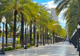 Alicante 2026: Seguridad de la ciudad para turistas y residentes – índice de criminalidad, zonas de alto riesgo y mejores y peores barrios para vivir