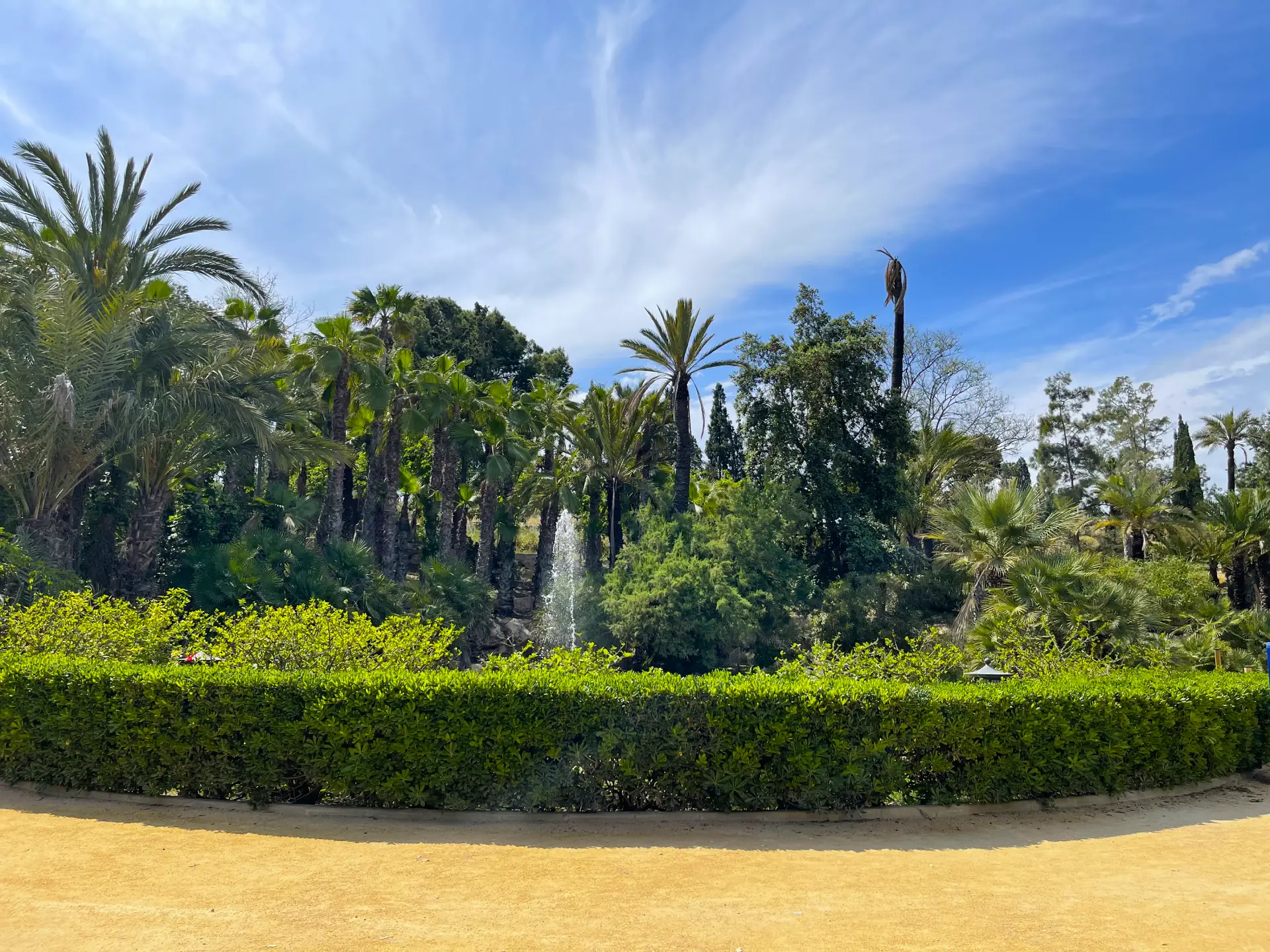 El Palmeral de Alicante: un oasis de palmeras con lago, cómo llegar, qué ver y por qué visitarlo - Alicante Costa Blanca Selecciones destacadas Turismo  - Costa Blanca Space Фото - Park-El-Palmeral-v-Alikante-El-Palmeral-10-