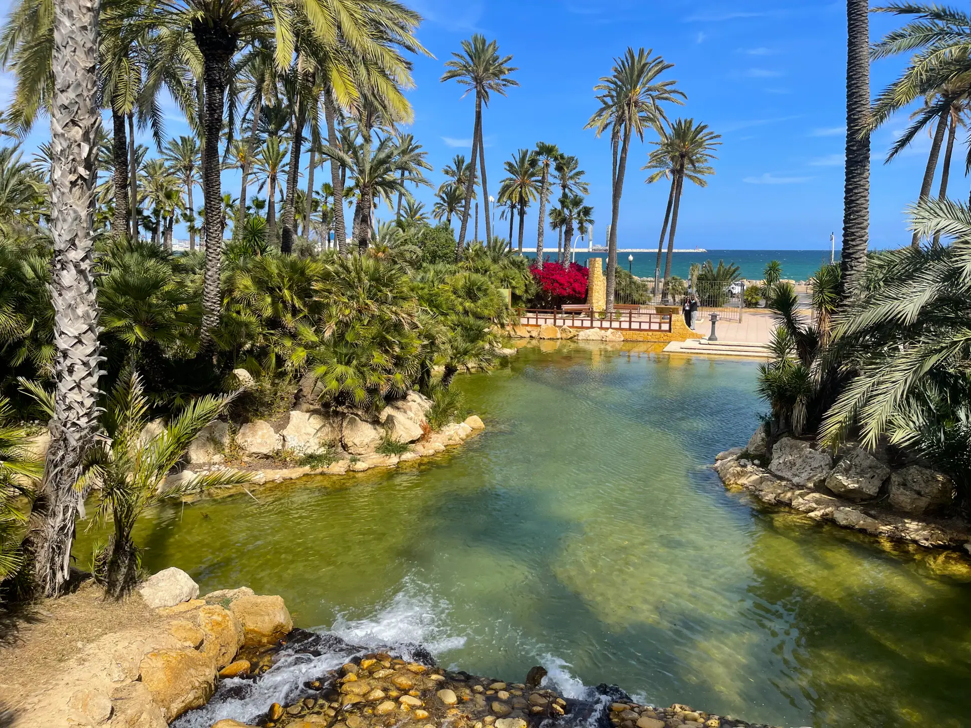 El Palmeral de Alicante: un oasis de palmeras con lago, cómo llegar, qué ver y por qué visitarlo - Alicante Costa Blanca Selecciones destacadas Turismo  - Costa Blanca Space Фото - Park-El-Palmeral-v-Alikante-El-Palmeral-12-