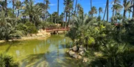 El Palmeral Park in Alicante: a Palm Grove with a Lake, How to Get There, What to See, and Why It’s Worth Visiting