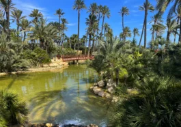 El Palmeral Park in Alicante: a Palm Grove with a Lake, How to Get There, What to See, and Why It’s Worth Visiting
