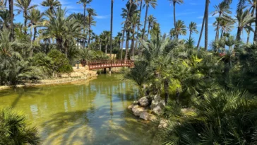 Актуальное -  - Costa Blanca Space Фото - Park-El-Palmeral-v-Alikante-El-Palmeral-2--364x205