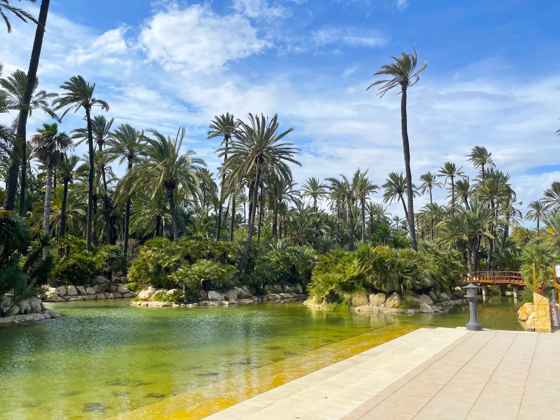 El Palmeral de Alicante: un oasis de palmeras con lago, cómo llegar, qué ver y por qué visitarlo - Alicante Costa Blanca Selecciones destacadas Turismo  - Costa Blanca Space Фото - Park-El-Palmeral-v-Alikante-El-Palmeral-3-