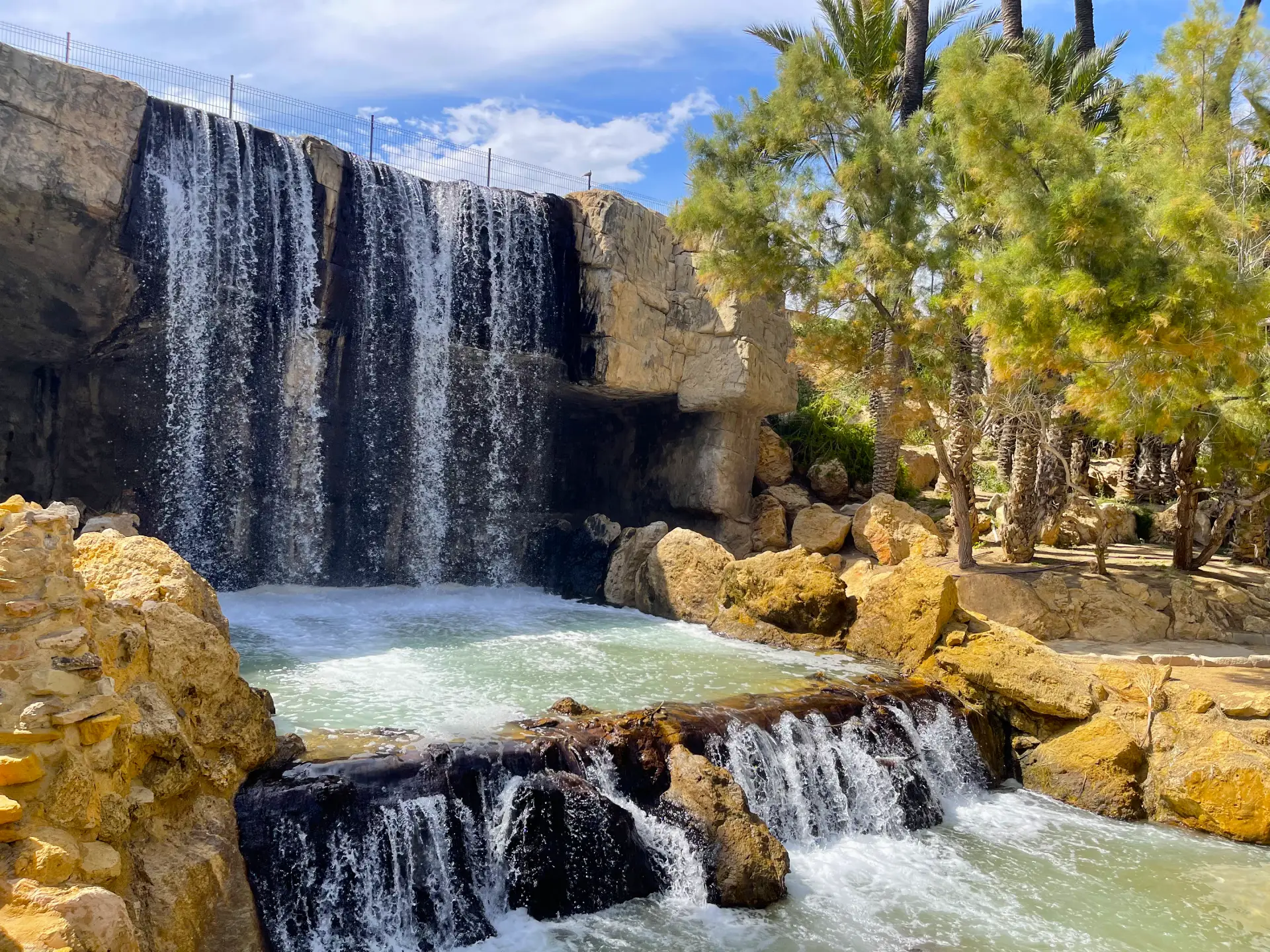 El Palmeral de Alicante: un oasis de palmeras con lago, cómo llegar, qué ver y por qué visitarlo - Alicante Costa Blanca Selecciones destacadas Turismo  - Costa Blanca Space Фото - Park-El-Palmeral-v-Alikante-El-Palmeral-5-