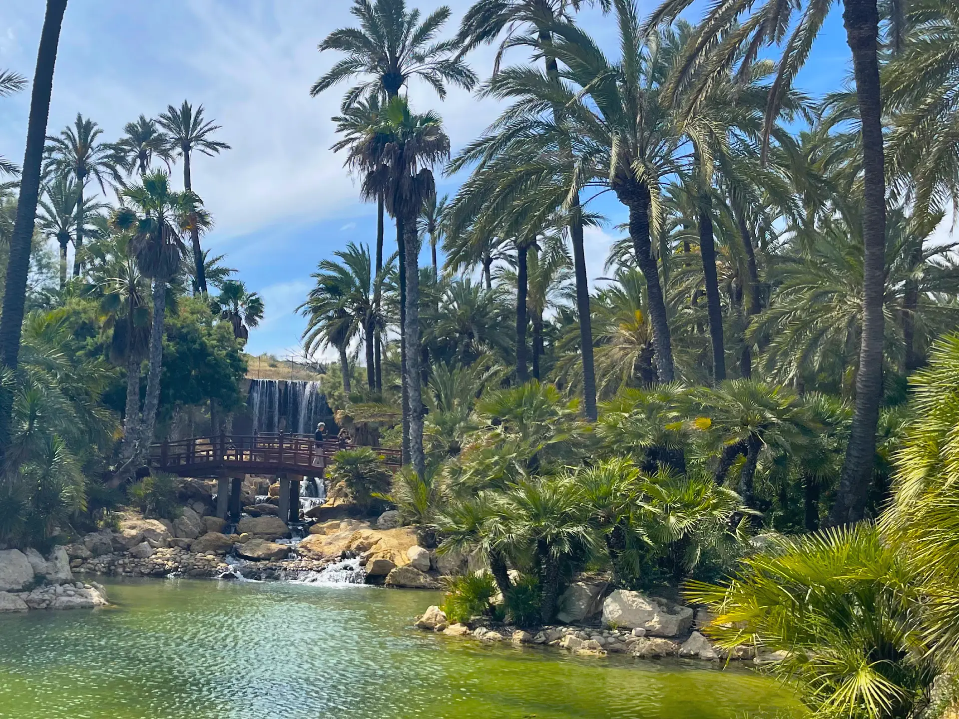 El Palmeral de Alicante: un oasis de palmeras con lago, cómo llegar, qué ver y por qué visitarlo - Alicante Costa Blanca Selecciones destacadas Turismo  - Costa Blanca Space Фото - Park-El-Palmeral-v-Alikante-El-Palmeral-8-