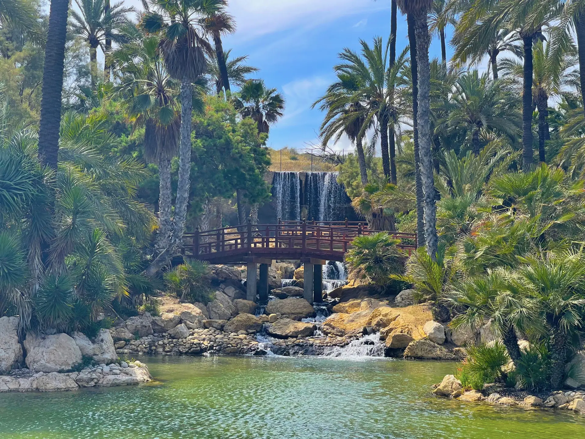El Palmeral de Alicante: un oasis de palmeras con lago, cómo llegar, qué ver y por qué visitarlo - Alicante Costa Blanca Selecciones destacadas Turismo  - Costa Blanca Space Фото - Park-El-Palmeral-v-Alikante-El-Palmeral-9-