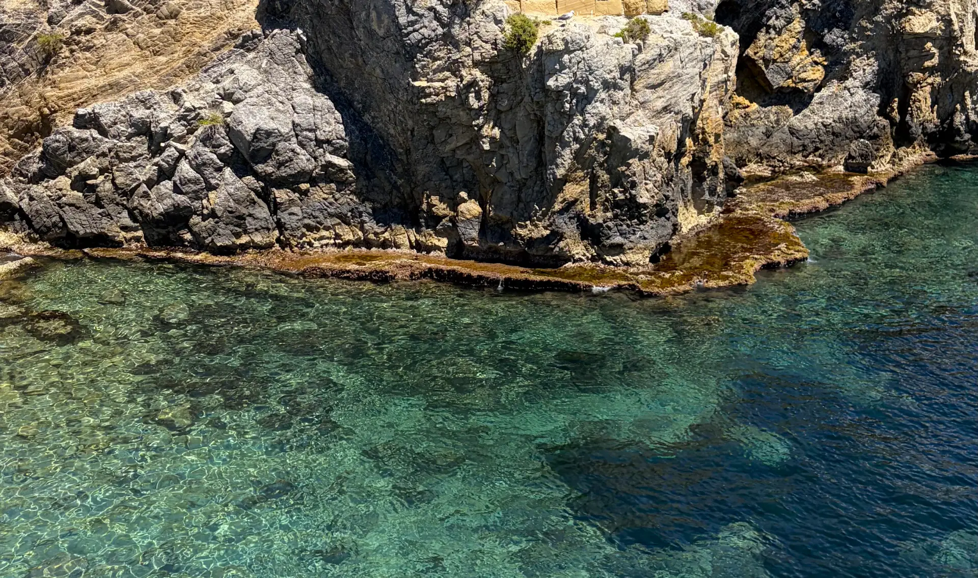 Tabarca Island, Costa Blanca, Spain: How to Get There, What to See and Why Visit - Costa Blanca Tabarca Island  - Costa Blanca Space Фото - buhty-ostrova-tabarka-ispaniya-1-