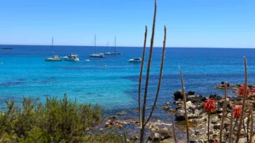 Isla de Tabarca, Costa Blanca, España: cómo llegar, qué ver y por qué visitarla