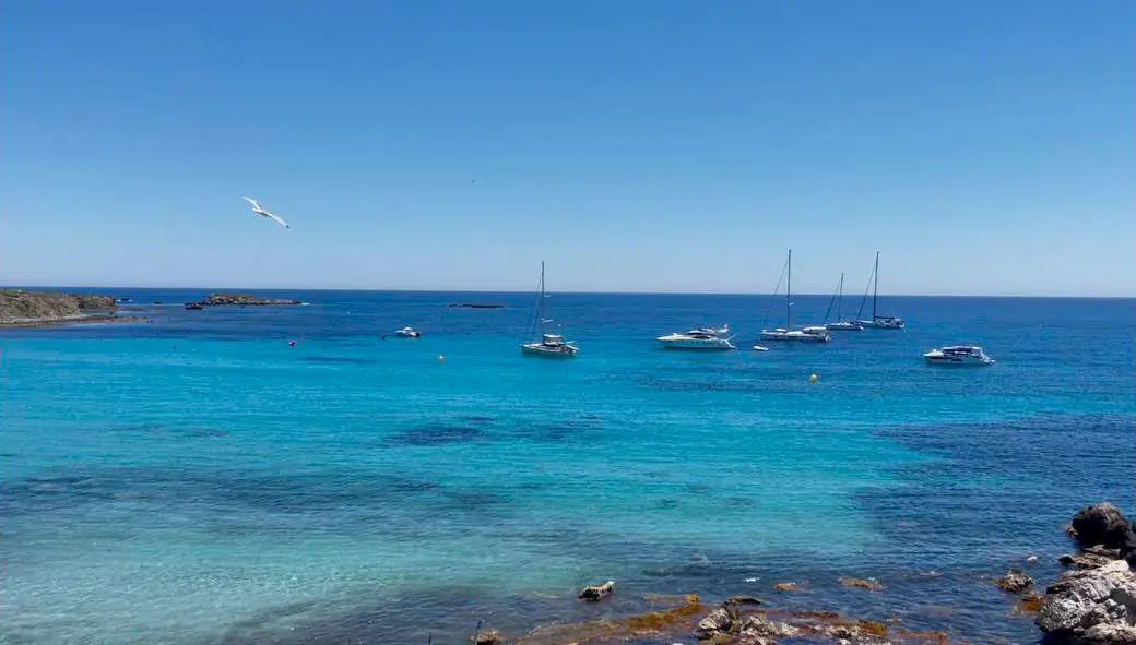 Tabarca Island, Costa Blanca, Spain: How to Get There, What to See and Why Visit - Costa Blanca Tabarca Island  - Costa Blanca Space Фото - ostrov-tabarka-ispaniya